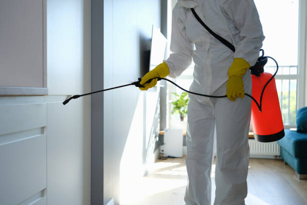 Best Emergency Mold Remediation in Sublimity, OR